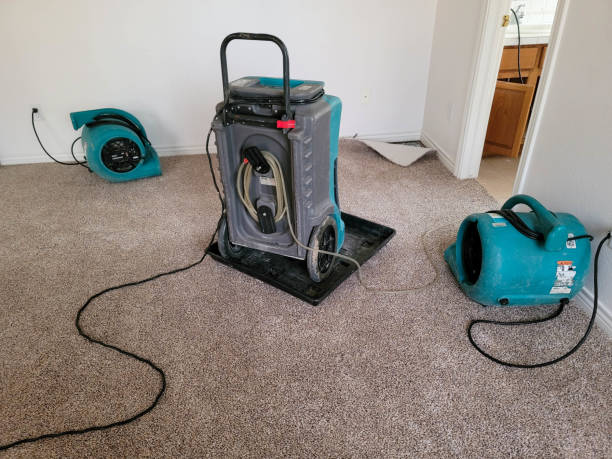 Best Water damage restoration near me  in Comstock Park, MI