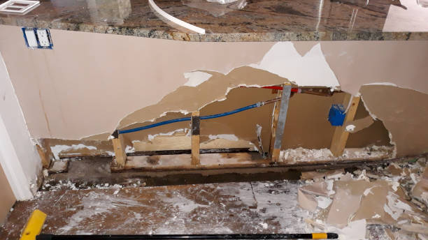 Best Basement water damage restoration  in Comstock Park, MI