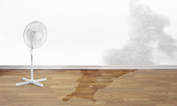  Comstock Park, MI Water damage restoration Pros