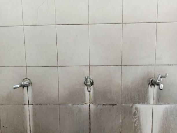 Professional Water damage restoration in Comstock Park, MI